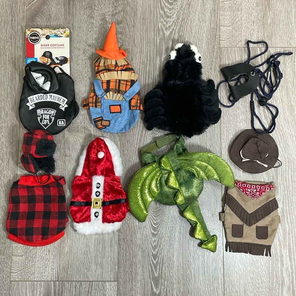 Reptile Bearded Dragon Bundle of 7 Outfits Clothes Costumes - Picture 1 of 14